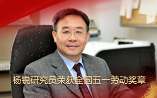 金屬所楊銳研究員榮獲全國五一勞動獎(jiǎng)?wù)? />
                                            </div>
                                            <div   id=